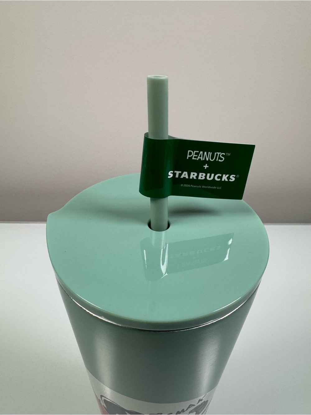 Starbucks Mint Green Peanuts Collab Stainless Tumbler